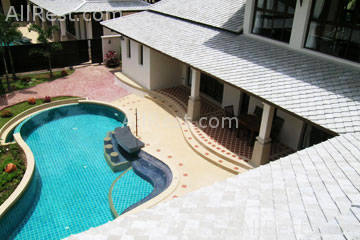 Coconut Paradise 26